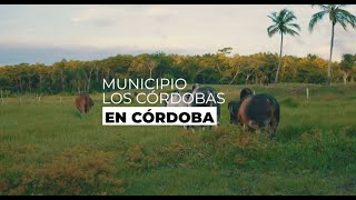 Los Córdobas Córdoba [upl. by Hampton]