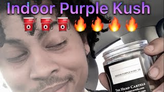 Indoor Purple Kush Delta 8 THC Flower Review Hemp Cartels 🔥🔥🔥🔥🔥🔥 [upl. by Pleione]