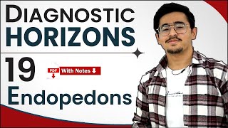 Diagnostic Horizon Of Soil  Endopedons  Subsurface Horizons  19 Endopedons soilsciencecicarjrf [upl. by Jit]