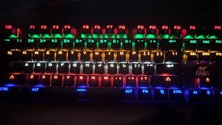 BEST MECHANICAL KEYBOARD UNDER 2000  ANT ESPORTS TKL MK 1000 amp MK 3000 All Light  Color Modes [upl. by Aicilla]