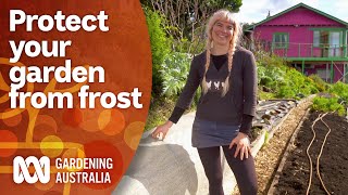 How to protect your garden from frost and cold weather  Gardening 101  Gardening Australia [upl. by Loftus]