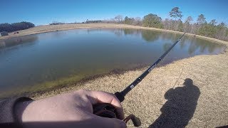 13 FISHING DEFY BLACK ROD  HANDS ON REVIEW [upl. by Enairda807]