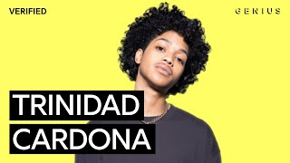 Trinidad Cardona “Dinero” Official Lyrics amp Meaning  Verified [upl. by Yacov]