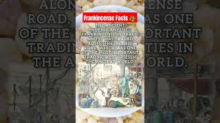 The Phoenicians traded frankincense as their main export history facts factshorts historyfacts [upl. by Kiele]