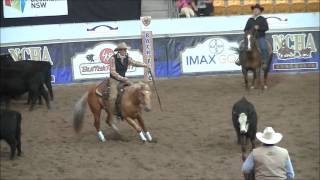 2013 NCHA Futurity Frank Green amp Seligman Oak [upl. by Delilah]