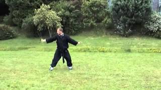 First 45 Moves Simplified Tai Chi Sword Form  Li family  Taoist [upl. by Nosydam]