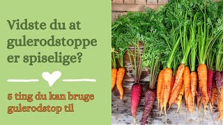 Vidste du at gulerodstop er spiselig  5 ting du kan bruge gulerodstop til [upl. by Chapell]