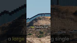 USMexico Border Challenges Persist Amid Migration Shift [upl. by Beuthel]