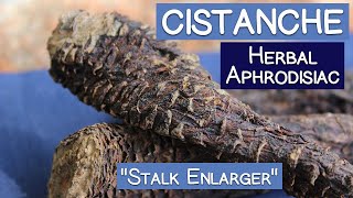 Cistanche Stem Famous Herbal Aphrodisiac and quotStalk Enlargerquot [upl. by Nagaer792]