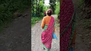 Wadiya mera daman musicvideo  hindisong song naturalview 💐🌷🌿🌿🪴🍀☘️🌿🎋🎋 [upl. by Lesoj874]