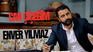 Enver Yılmaz  Can Çiçeğim Official Audio [upl. by Attelliw]