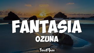 Ozuna  Fantasía LyricsLetra [upl. by Erika]