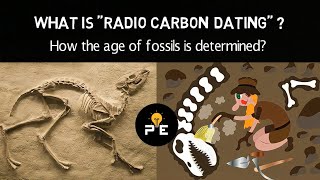 How Does Radiocarbon Dating Work  Pavan Explained [upl. by Dudley]