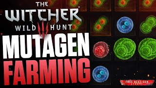 You NEED THIS  The Witcher 3 Farming Mutagens Tipps  Red Green amp Blue Greater Mutagen [upl. by Garrot97]