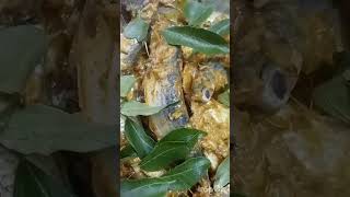 Ashwathy avanthika channel border style salai fish fry [upl. by Silma910]