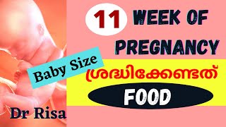 11 Week Pregnant  Pregnancy Week By Week Malayalam [upl. by Lehte]