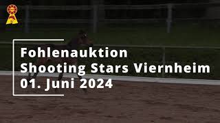 Trailer DSPHybridFohlenauktion SHOOTING STARS am 1 Juni 2024 in Viernheim [upl. by Egni]