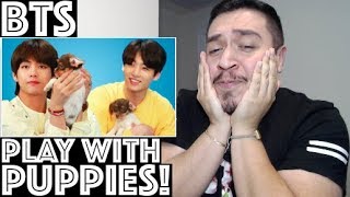 BTS Plays With Puppies Buzzfeed Interview Reaction [upl. by Akinnor]