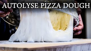 No Music How To Make Perfect Neapolitan Pizza Dough With Autolyse  Autolyse Pizza Dough Recipe [upl. by Kadner405]