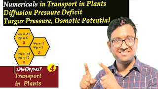 Numericals in Transport Of Plants I Diffusion Pressure deficit I NEET I Dr Kunal KT [upl. by Anelam]