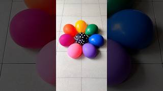 Beautiful Flower Balloon Popping Reverse Video asmr satisfying [upl. by Karlise]