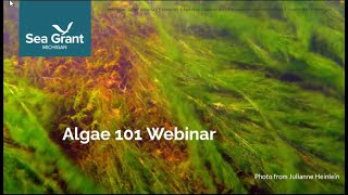 Michigan Algae 101 Webinar 2024 [upl. by Oderfigis]