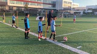 Mastering Ball Control Key Soccer Drills for Young Players 2015 [upl. by Noell]