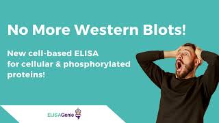 CellBased amp Phospho Protein ELISA Kits [upl. by Uuge]