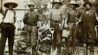 The Trade of Kauri Gum  The Song Spinners [upl. by Olnay]