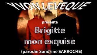 Brigitte mon exquise  Parodie Sandrine Sarroche [upl. by Ellecrad]