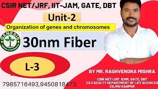 Heterochromatin Euchromatin  Chromosome  L4 Unit2 𝐆𝐞𝐧𝐞𝐬𝐢𝐬 𝐈𝐧𝐬𝐭𝐢𝐭𝐮𝐭𝐞 𝐨𝐟 𝐋𝐢𝐟𝐞 𝐒𝐜𝐢𝐞𝐧𝐜𝐞𝐬 [upl. by Lahsiv]