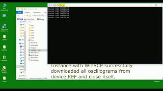 WinSCP Python FTP and relay protection [upl. by Akinar]