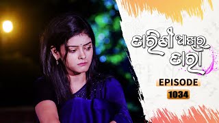 Tarini Akhira Tara  Full Ep 1034  15th July 2021  Odia Serial – TarangTV [upl. by Gurevich702]