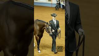 AQHA World Show 2023  Amateur Showmanship [upl. by Yboc]