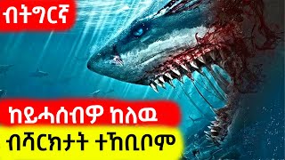 ብዘሕዝን ኩነታት ኣብ ባሕሪ 2 ወርሒ ይሳቀዩ WINIAY17 ሲኒማና abibiboy ABRmovies1 Tigrinya movie recap [upl. by Niemad]