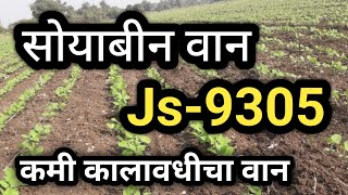 Js 335 Vs Js 9305 सोयाबीन 🤔 [upl. by Ymrots824]