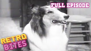 Lassie  The Bonnet  Full Episodes [upl. by Lahsram]