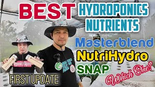 Best Hydroponics Nutrients  Hydroponics Lettuce  Kratky Method [upl. by Seldan728]