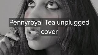 Pennyroyal Tea nirvana unplugged cover [upl. by Hcir]