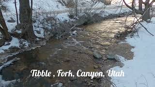 Tibble Fork Canyon Utah [upl. by Atiuqcaj]