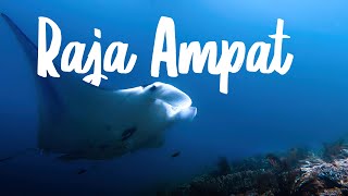 The incredible reefs of Raja Ampat 4k  why divers come all this way [upl. by Adivad]