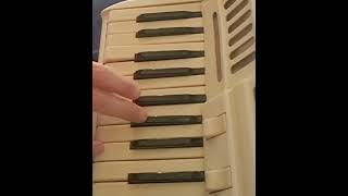 Joe Dassin quotLes Champs Elyseesquot accordeon cover [upl. by Aleuname]