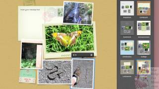 How to email photos from iPhoto [upl. by Sina]