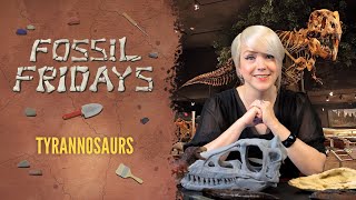 Fossil Fridays  quotT rexquot Growth Series [upl. by Anyr]