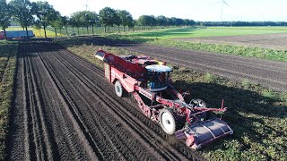 Zoete aardappel oogst  Sweet potato harvest  Grimme Varitron  The Netherlands [upl. by Nylsor]