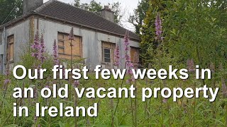 First few weeks in an old vacant property in Ireland [upl. by Einnos596]