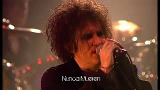 The Cure Bloodflowers Sub Español Live In Berlin 2002 [upl. by Romie]