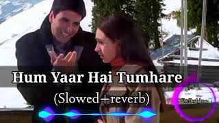 Hum Pyaar Hai Tumhare slowedreverb Haan Maine Bhi Pyaar Kiya Kumar Sanu Alka Yagnik  Love Song [upl. by Wehhtam607]