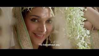 Wazir  Official Trailer  January 8 2016 [upl. by Eninnaj]