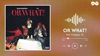 NLE Choppa 41  Or What lyrics [upl. by Brenton409]